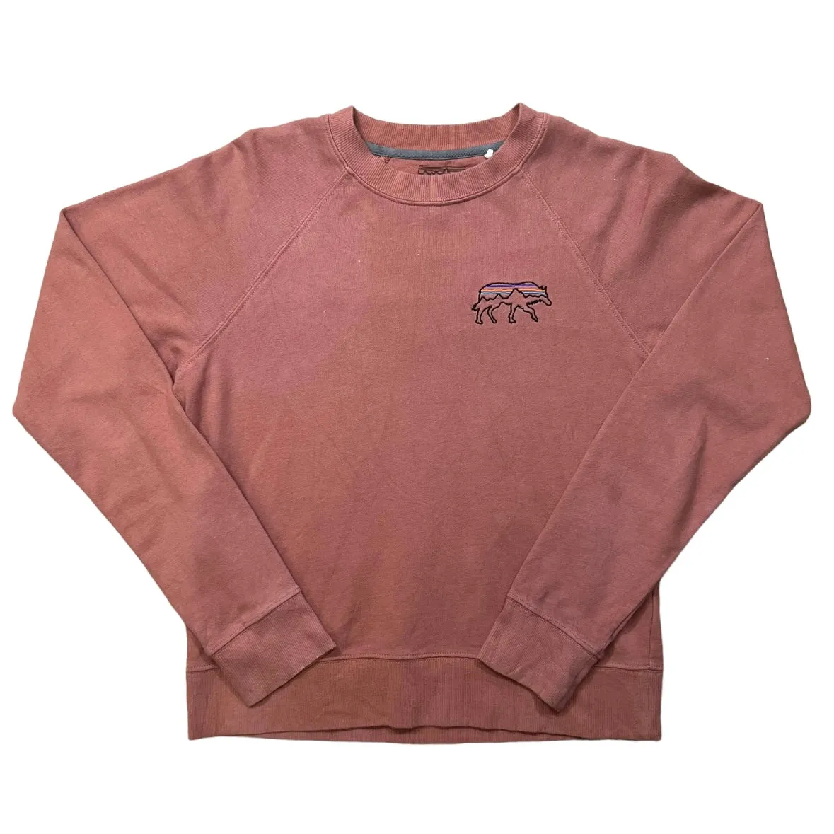 Patagonia Pink Sweatshirt