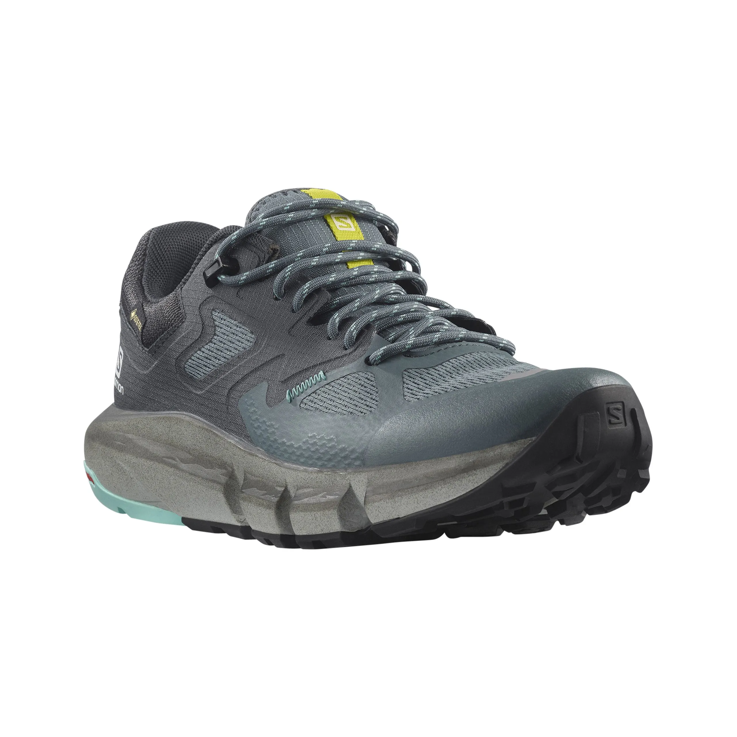 Salomon Predict Hike Gore-Tex Womens Walking shoe